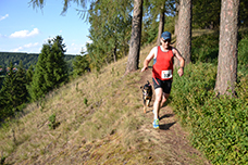 Bodfeldlauf 2013